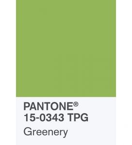 pantonechip-15-0343-tpg-greenery-2